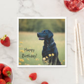 Zwart lab servet (Insitu)