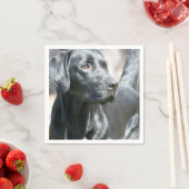 Zwart lab servet (Insitu)