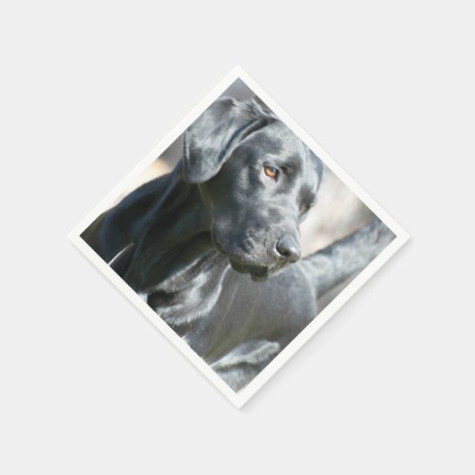 Zwart lab servet (Hoek)