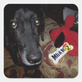 Zwart lab / speelgoed sticker voor enveloppen