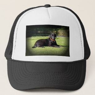 Zwart lab trucker pet