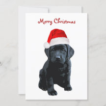 Zwart Lab Vrolijk Kerstmis Labrador Puppy Santa Do