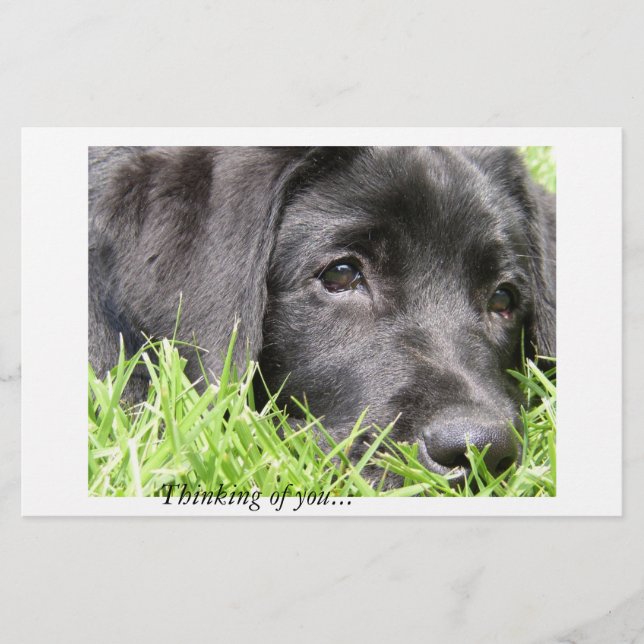 Zwart labdenken van u (Voorkant)