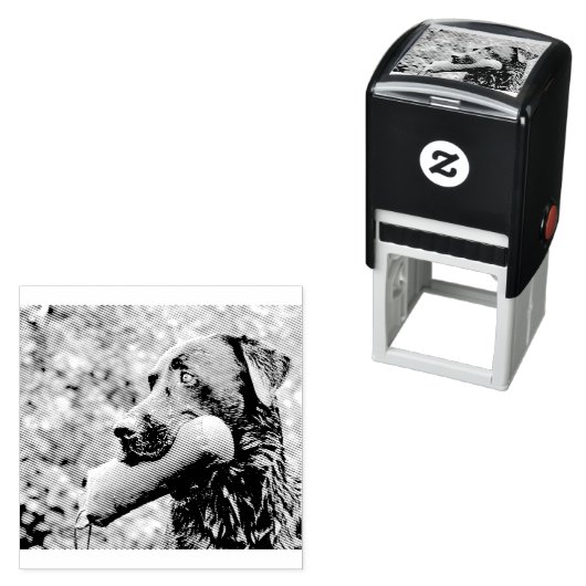 zwart laboratorium dat terugwint zelfinktende stempel (In situ)