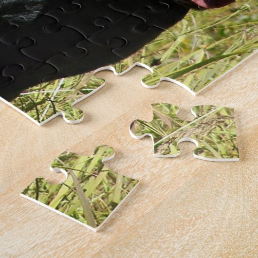 Zwart laboratorium in Field Puzzle Legpuzzel (Zijkant)