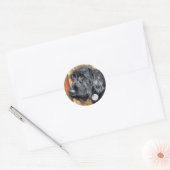 Zwart Labradoodle #1 Stickers (Envelop)