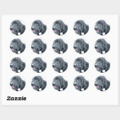 Zwart Labradoodle Stickers (Vel)