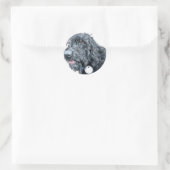 Zwart Labradoodle Stickers (Tas)