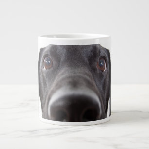 Zwart Labrador Close-up Portret Grote Koffiekop