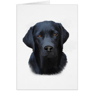 Zwart Labrador Hond Water Kleur Kunst Schilderen
