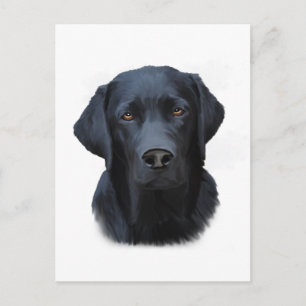 Zwart Labrador Hond Water Kleur Kunst Schilderen Briefkaart