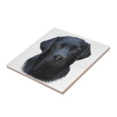 Zwart Labrador Hond Water Kleur Kunst Schilderen Tegeltje (Zijkant)