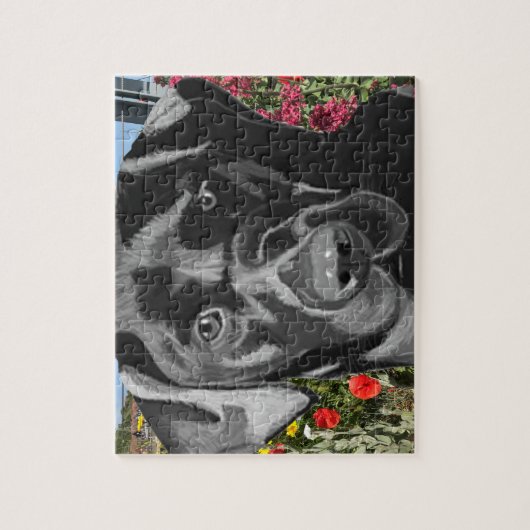 Zwart labrador portret legpuzzel (Verticaal)