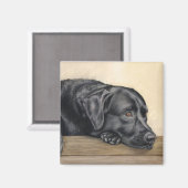 Zwart labrador portret magneet (Voorkant / Achterkant)