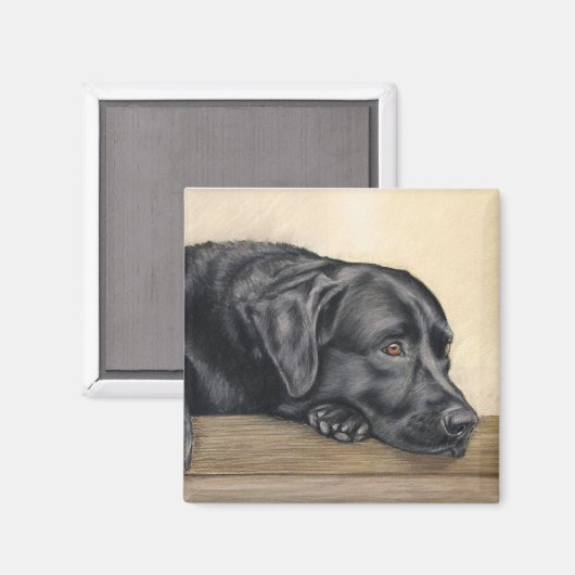 Zwart labrador portret magneet (Voorkant / Achterkant)