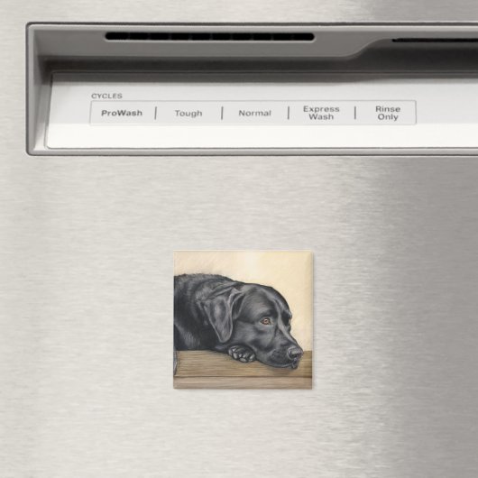 Zwart labrador portret magneet (Insitu (Vaatwasser))