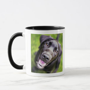 Zwart labrador puppy kijkt omhoog, close-up mok