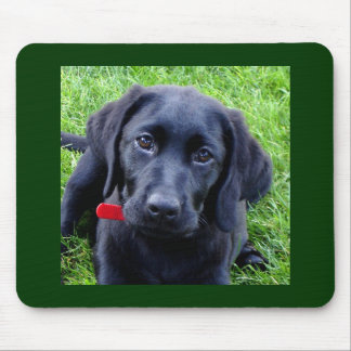 Zwart labrador puppy muismat