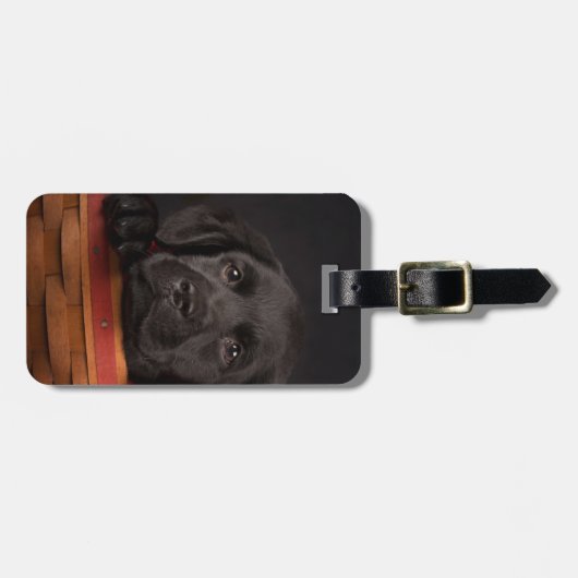 Zwart labrador rekwalvis in een mand bagagelabel (Voorkant horizontaal)