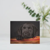 Zwart labrador rekwalvis in een mand briefkaart (Staand voorkant)