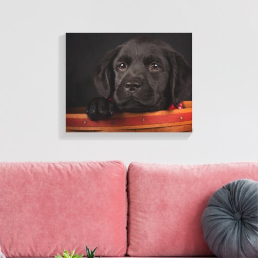 Zwart labrador rekwalvis in een mand canvas afdruk (Insitu (Woonkamer))