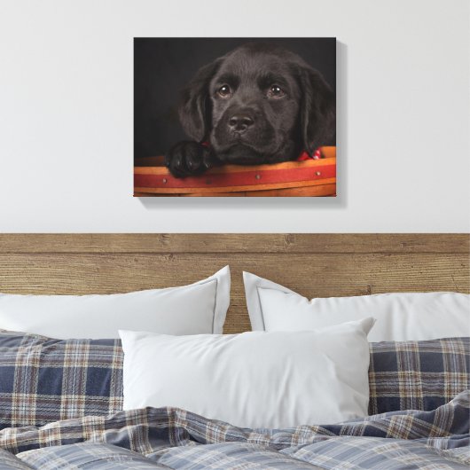 Zwart labrador rekwalvis in een mand canvas afdruk (Insitu (Slaapkamer))