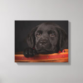 Zwart labrador rekwalvis in een mand canvas afdruk (Voorkant)