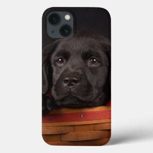 Zwart labrador rekwalvis in een mand Case-Mate iPhone case