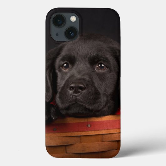 Zwart labrador rekwalvis in een mand Case-Mate iPhone case (Achterkant)