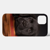 Zwart labrador rekwalvis in een mand Case-Mate iPhone case (Achterkant (horizontaal))
