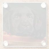 Zwart labrador rekwalvis in een mand glazen onderzetter (Achterkant)