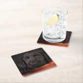 Zwart labrador rekwalvis in een mand kartonnen onderzetters (Insitu)