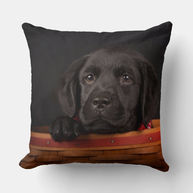 Zwart labrador rekwalvis in een mand kussen (Voorkant)