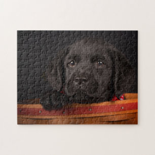 Zwart labrador rekwalvis in een mand legpuzzel