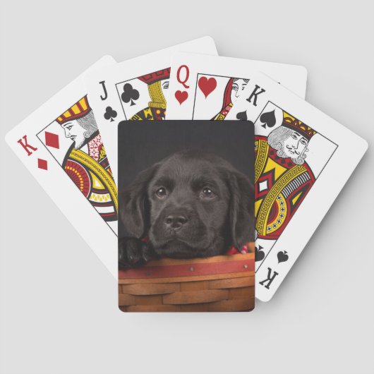 Zwart labrador rekwalvis in een mand speelkaarten (Achterkant)