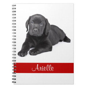 Zwart labrador Retriever - Aangepast notebook Notitieboek