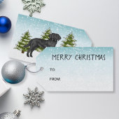 Zwart Labrador Retriever Blauw Sneeuwrijk Winterbo Cadeaulabel