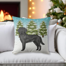 Zwart Labrador Retriever Blauw Sneeuwrijk Winterbo