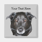 Zwart Labrador Retriever Hondenmagneet Magneet (Voorkant)