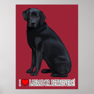 Zwart labrador Retriever Portret Poster