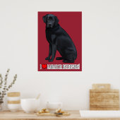Zwart labrador Retriever Portret Poster (Keuken)