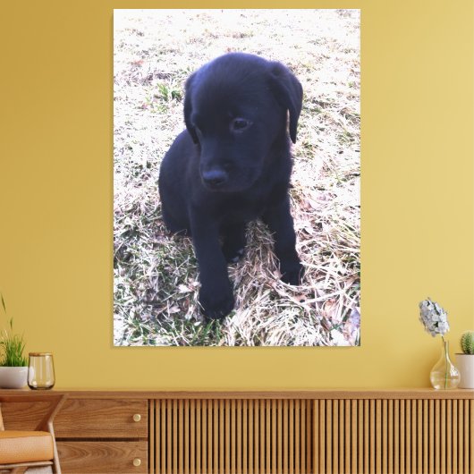 Zwart Labrador Retriever Puppy Wrapped Canvas (Insitu (Woonkamer))