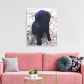 Zwart Labrador Retriever Puppy Wrapped Canvas Afdruk (Insitu (Woonkamer))