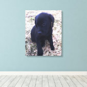 Zwart Labrador Retriever Puppy Wrapped Canvas Afdruk (Insitu (Houten vloer))