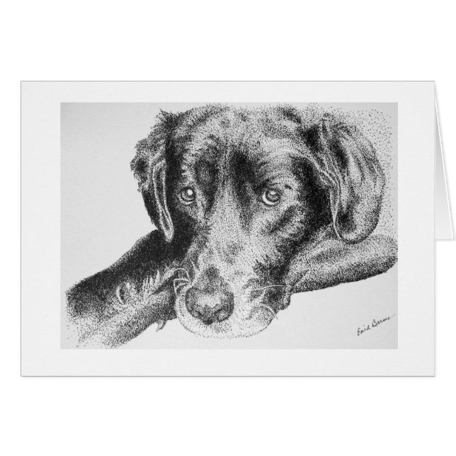 Zwart labrador retriever uit Pen- en inkttekening (Voorkant Horizontaal)