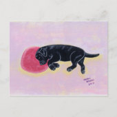 Zwart labrador slaapverf briefkaart (Voorkant)