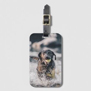 Zwart labrador speelt fets in water bagagelabel