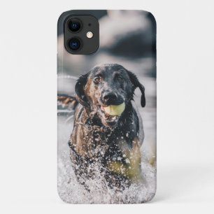 Zwart labrador speelt fets in water Case-Mate iPhone case