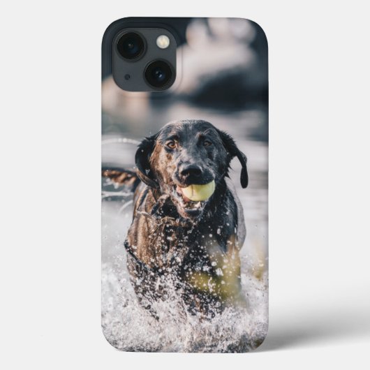 Zwart labrador speelt fets in water Case-Mate iPhone case (Achterkant)