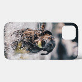 Zwart labrador speelt fets in water Case-Mate iPhone case (Achterkant (horizontaal))